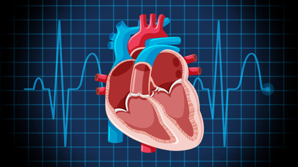 Defibrillator vs Pacemaker What’s the Difference and How Do They Work | AED Brand Review