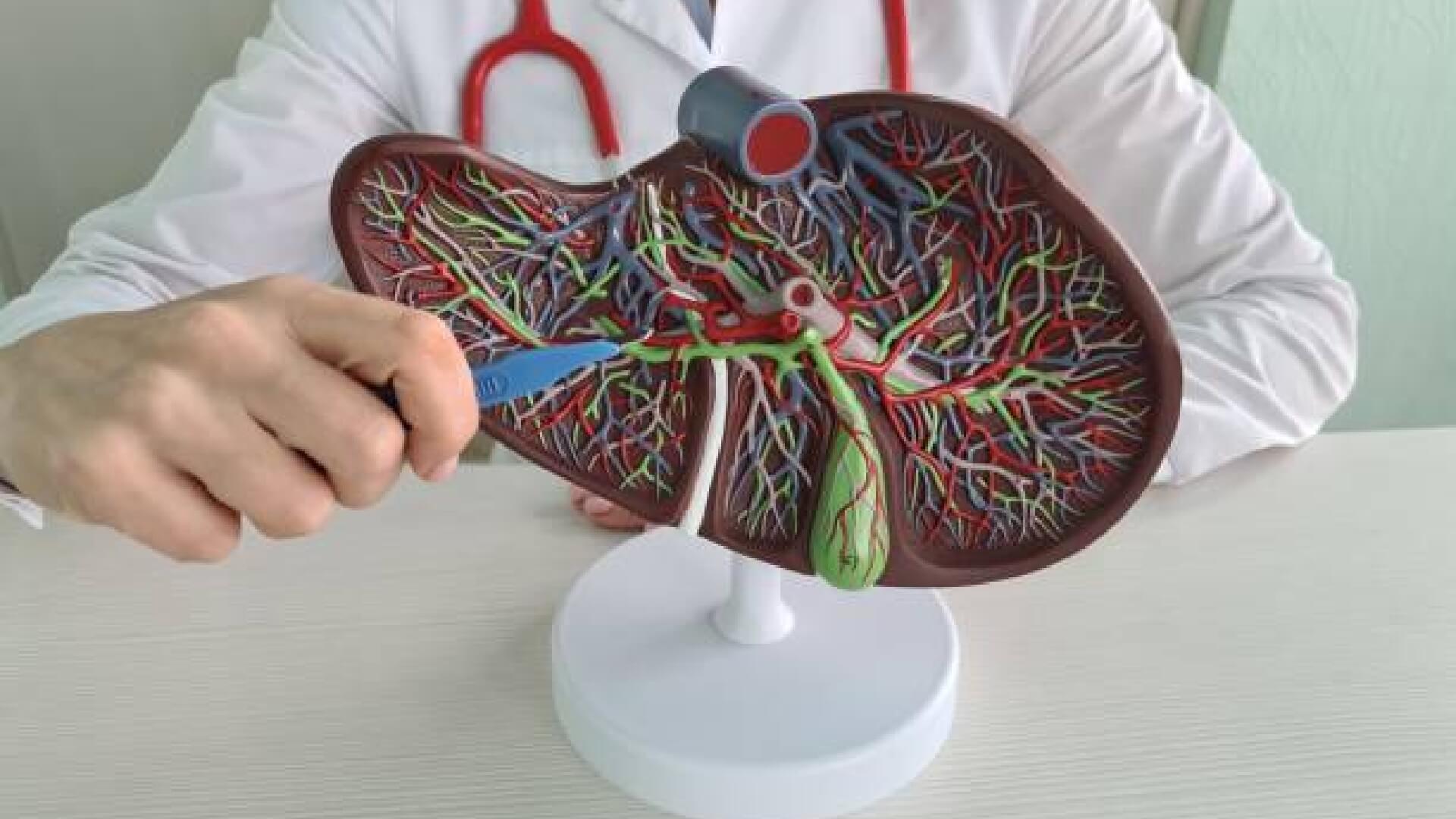 How Many Times Can You Have Heart Ablation Risks, Limits, and What to Expect | AED Brand Review